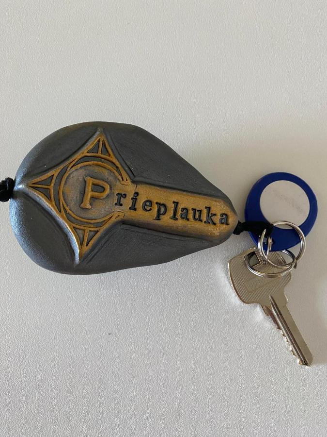 Rezidencija "Prieplauka" Hostel Alytus Kültér fotó